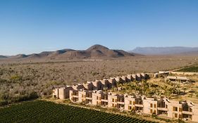 Paradero Todos Santos - Exclusive Experiences Included